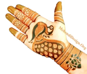 Royal front hand mehndi design Pic