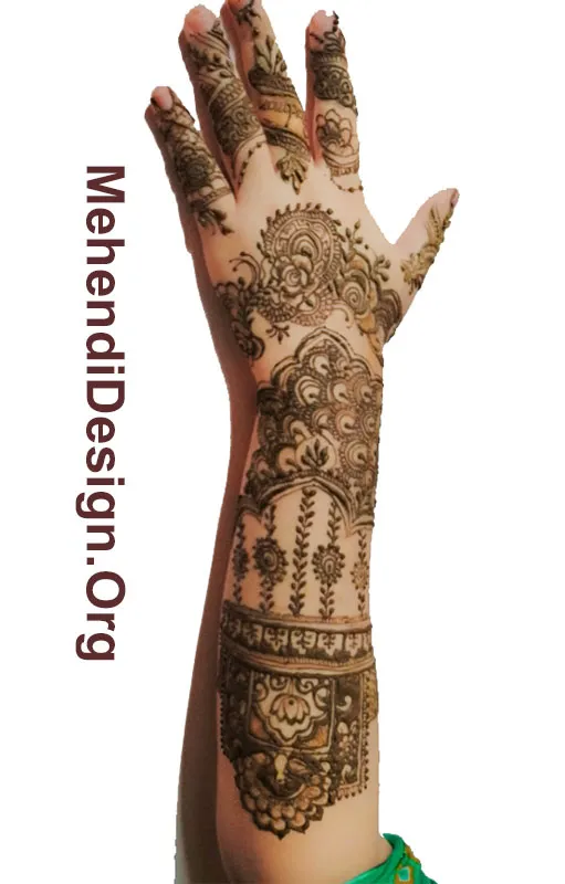 Henna Designs Back Hand photo and picture