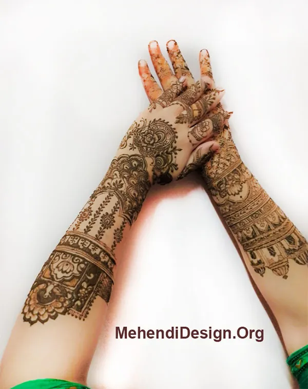 Henna Designs for Full Back Hand photo and picture