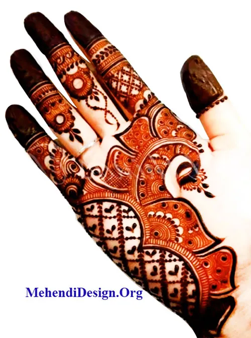 Beautiful Finger Mehndi Designs ♥ - Stylish Mehndi Design | Facebook-sonthuy.vn