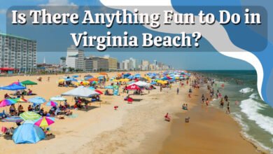 Image of An aerial view of the Virginia Beach boardwalk with people riding bikes and walking. Is there anything fun to do in Virginia Beach is answered with a vibrant bustling image An aerial view of the Virginia Beach boardwalk with people riding bikes and walking. "Is there anything fun to do in Virginia Beach?" is answered with a vibrant, bustling image.