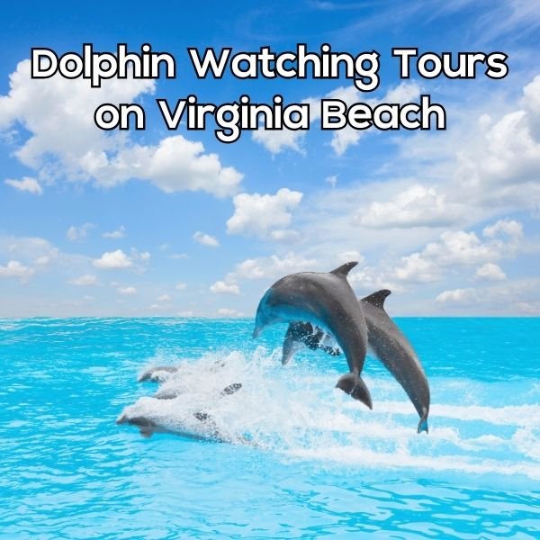 Image of Two dolphin jumping out of the water in the background Virginia Beach Two dolphin jumping out of the water in the background Virginia Beach